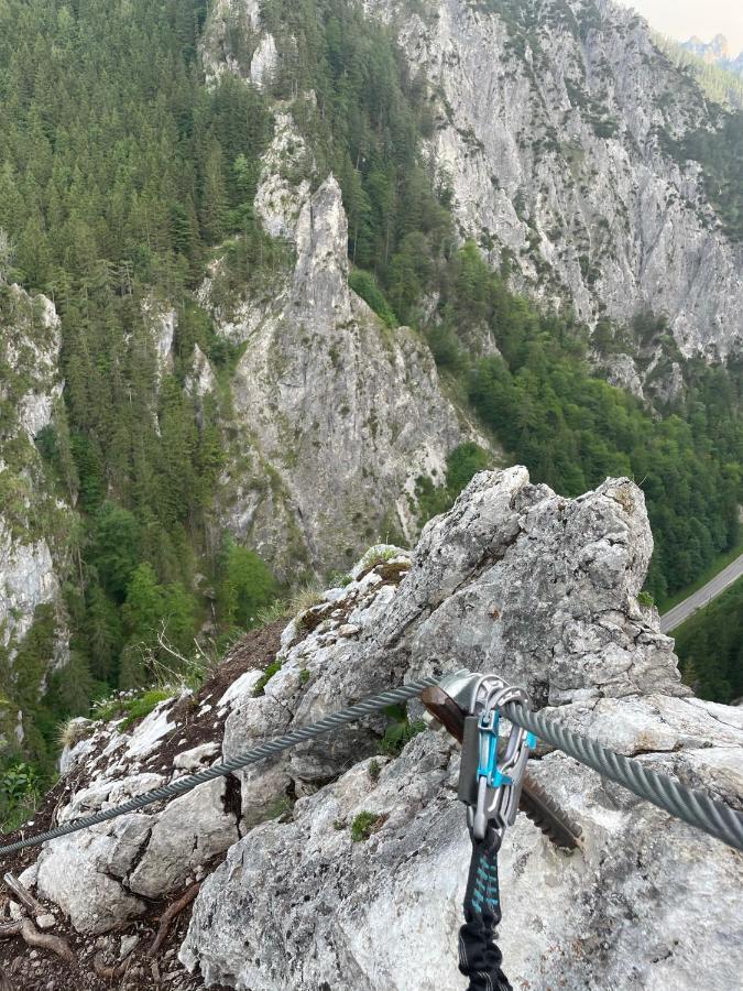 Berghaus Gesaeuse Pension Weng im Gesause Exterior photo
