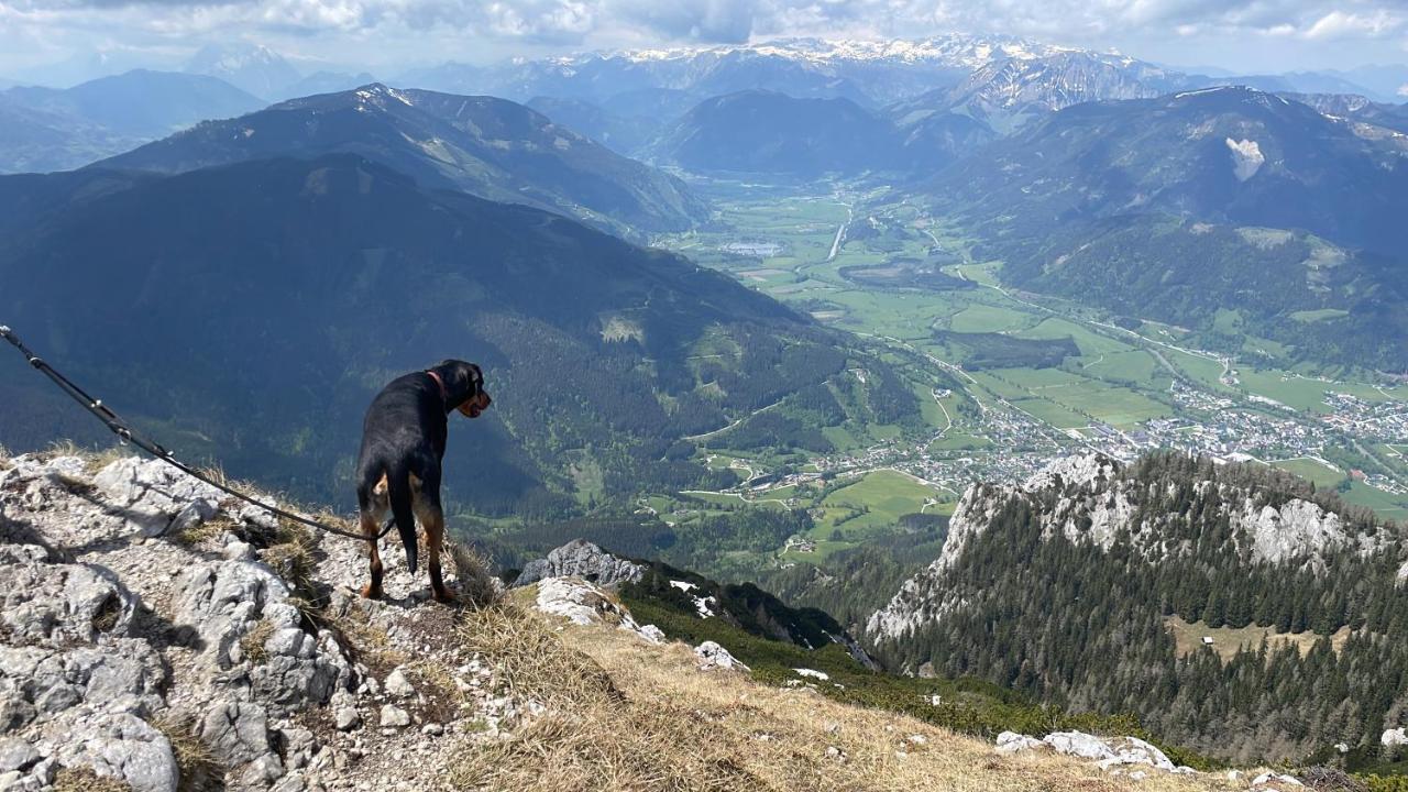 Berghaus Gesaeuse Pension Weng im Gesause Exterior photo